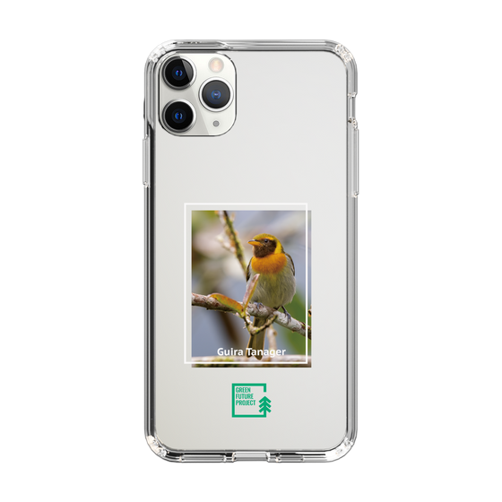 スリムプロテクションケース［ Green Future Project - Guira Tanager ］