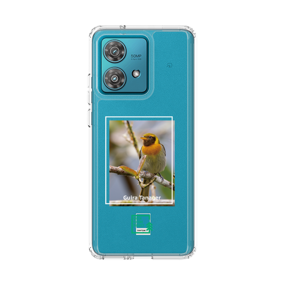 スリムプロテクションケース［ Green Future Project - Guira Tanager ］