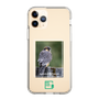 スリムプロテクションケース［ Green Future Project - Aplomado Falcon ］