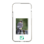 スリムプロテクションケース［ Green Future Project - Aplomado Falcon ］