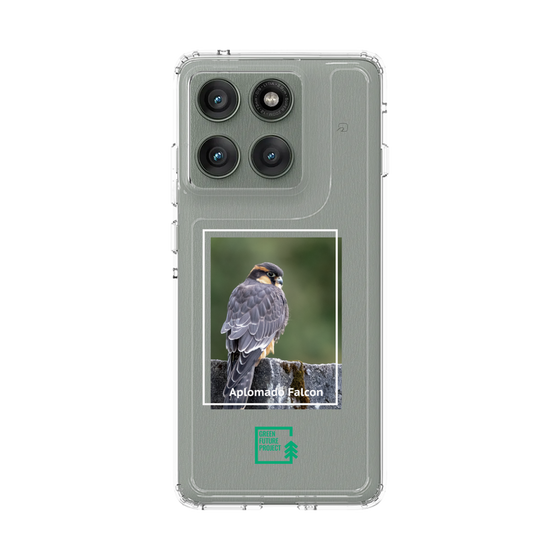 スリムプロテクションケース［ Green Future Project - Aplomado Falcon ］