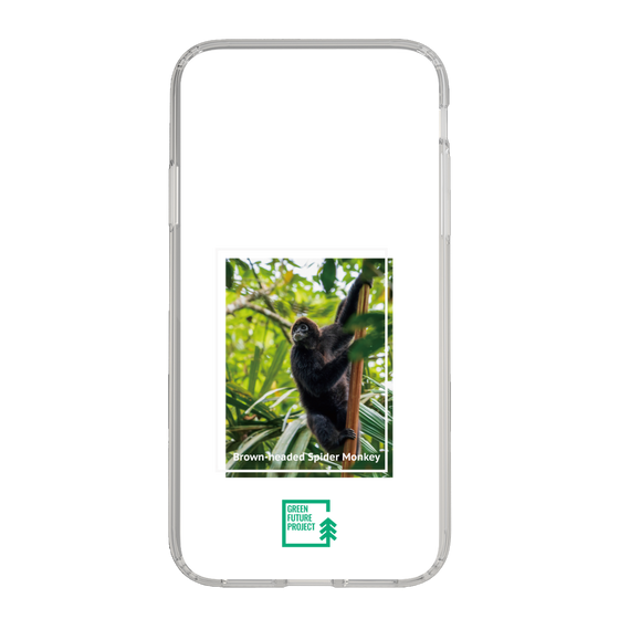 スリムプロテクションケース［ Green Future Project - Brown-headed Spider Monkey ］