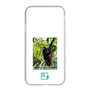 スリムプロテクションケース［ Green Future Project - Brown-headed Spider Monkey ］