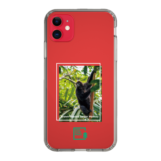 スリムプロテクションケース［ Green Future Project - Brown-headed Spider Monkey ］