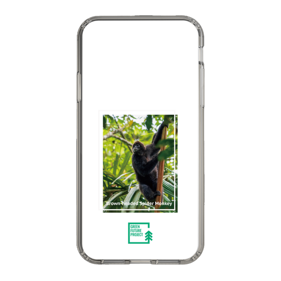スリムプロテクションケース［ Green Future Project - Brown-headed Spider Monkey ］