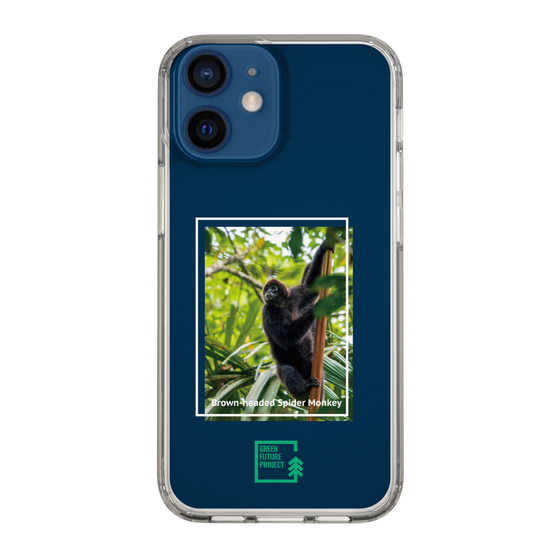 スリムプロテクションケース［ Green Future Project - Brown-headed Spider Monkey ］