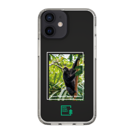 スリムプロテクションケース［ Green Future Project - Brown-headed Spider Monkey ］