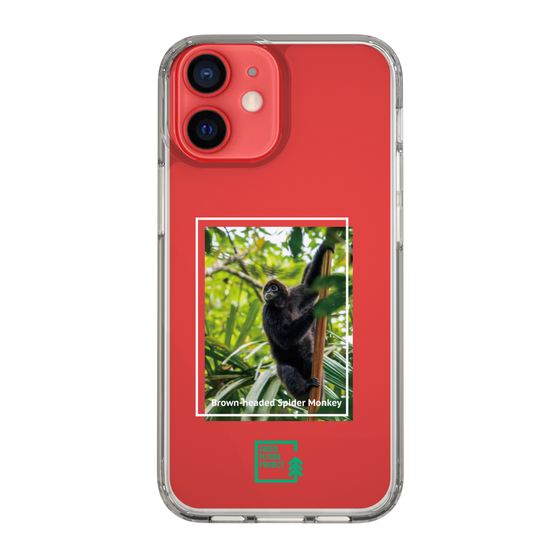 スリムプロテクションケース［ Green Future Project - Brown-headed Spider Monkey ］