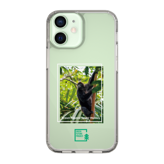 スリムプロテクションケース［ Green Future Project - Brown-headed Spider Monkey ］