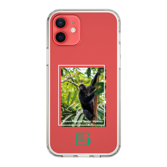 スリムプロテクションケース［ Green Future Project - Brown-headed Spider Monkey ］