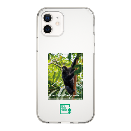スリムプロテクションケース［ Green Future Project - Brown-headed Spider Monkey ］