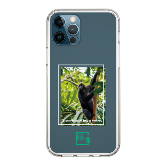 スリムプロテクションケース［ Green Future Project - Brown-headed Spider Monkey ］