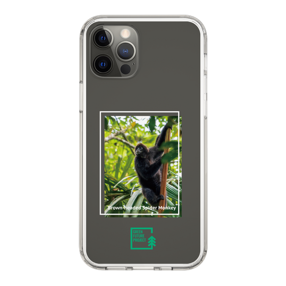 スリムプロテクションケース［ Green Future Project - Brown-headed Spider Monkey ］