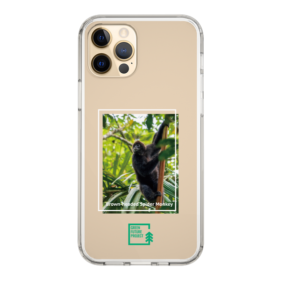 スリムプロテクションケース［ Green Future Project - Brown-headed Spider Monkey ］