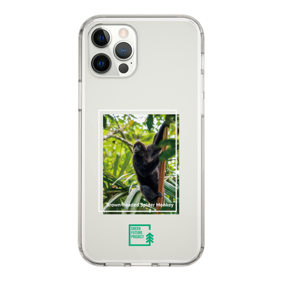 スリムプロテクションケース［ Green Future Project - Brown-headed Spider Monkey ］