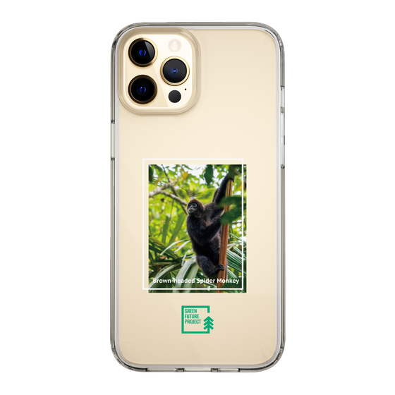 スリムプロテクションケース［ Green Future Project - Brown-headed Spider Monkey ］