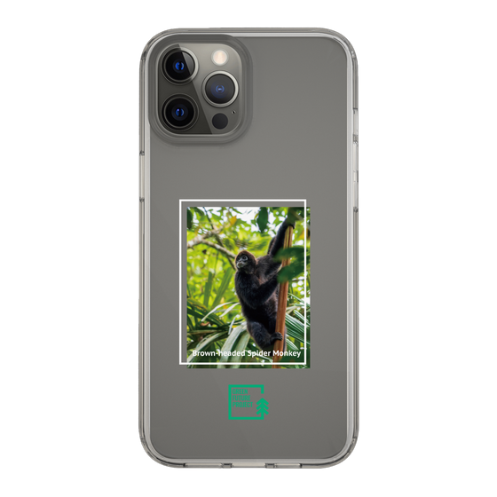 スリムプロテクションケース［ Green Future Project - Brown-headed Spider Monkey ］