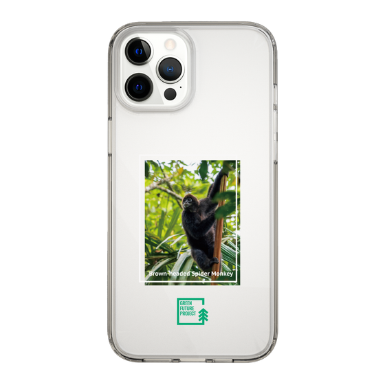 スリムプロテクションケース［ Green Future Project - Brown-headed Spider Monkey ］