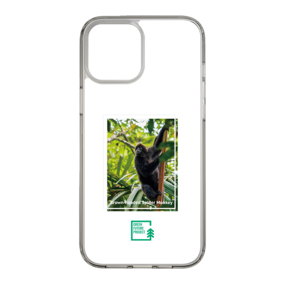 スリムプロテクションケース［ Green Future Project - Brown-headed Spider Monkey ］