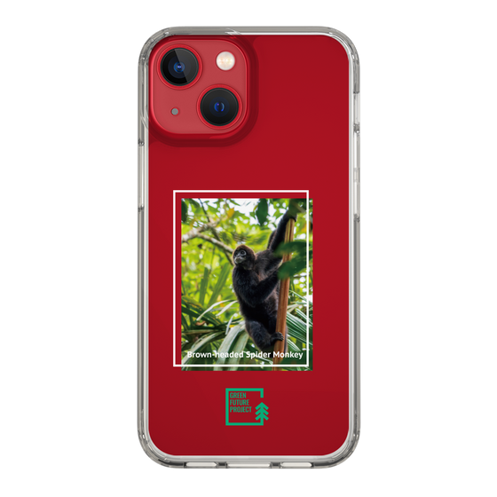 スリムプロテクションケース［ Green Future Project - Brown-headed Spider Monkey ］