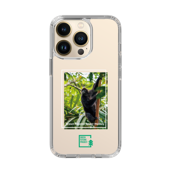 スリムプロテクションケース［ Green Future Project - Brown-headed Spider Monkey ］