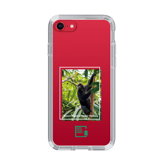 スリムプロテクションケース［ Green Future Project - Brown-headed Spider Monkey ］