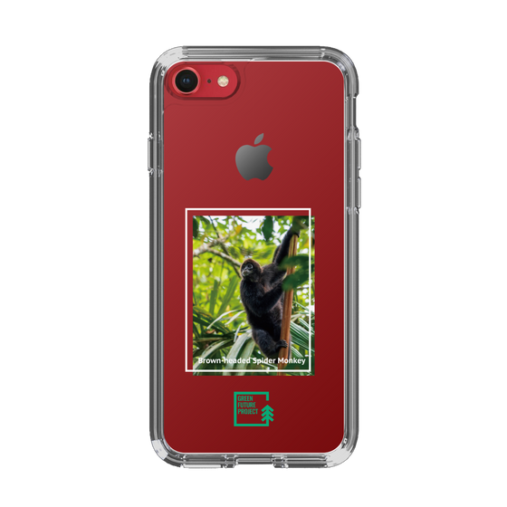 スリムプロテクションケース［ Green Future Project - Brown-headed Spider Monkey ］