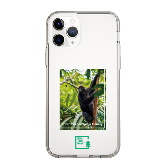 スリムプロテクションケース［ Green Future Project - Brown-headed Spider Monkey ］