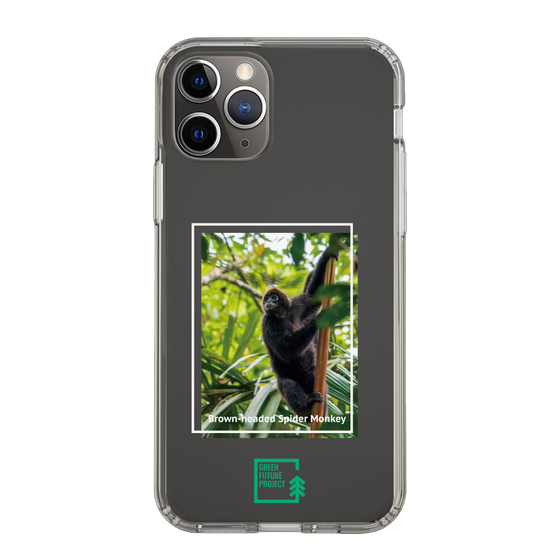 スリムプロテクションケース［ Green Future Project - Brown-headed Spider Monkey ］