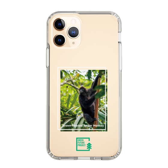 スリムプロテクションケース［ Green Future Project - Brown-headed Spider Monkey ］