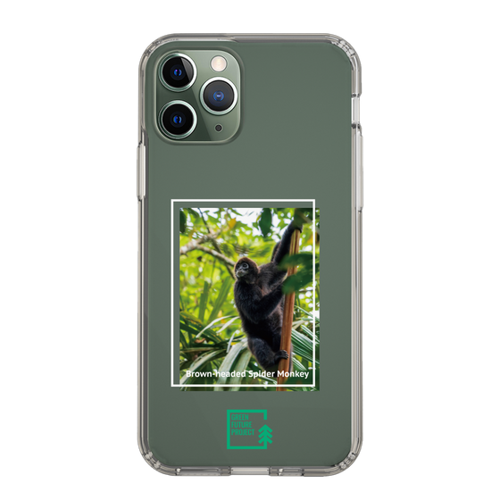スリムプロテクションケース［ Green Future Project - Brown-headed Spider Monkey ］