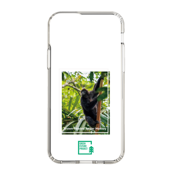 スリムプロテクションケース［ Green Future Project - Brown-headed Spider Monkey ］