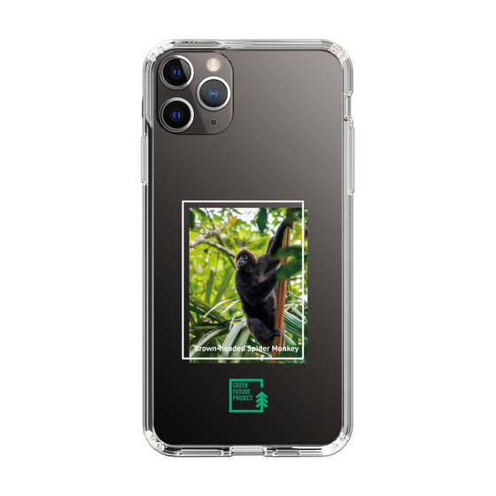 スリムプロテクションケース［ Green Future Project - Brown-headed Spider Monkey ］