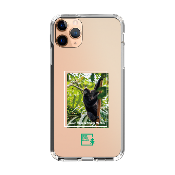 スリムプロテクションケース［ Green Future Project - Brown-headed Spider Monkey ］