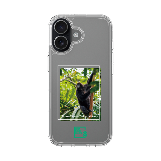 スリムプロテクションケース［ Green Future Project - Brown-headed Spider Monkey ］