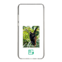 スリムプロテクションケース［ Green Future Project - Brown-headed Spider Monkey ］