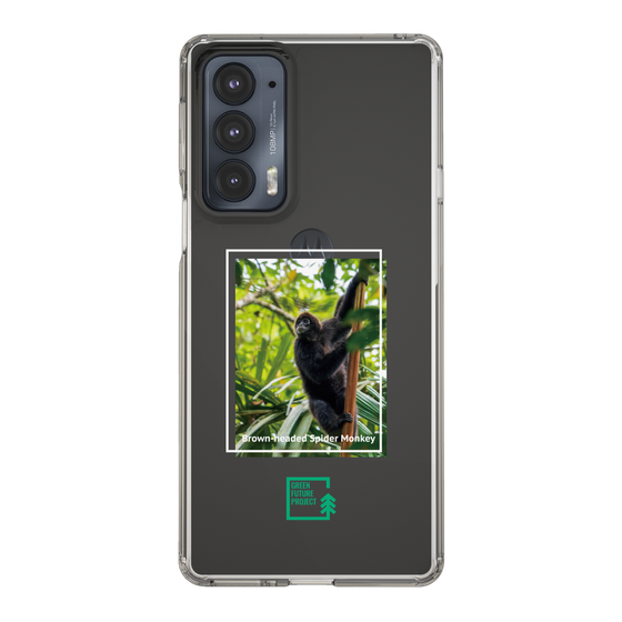 スリムプロテクションケース［ Green Future Project - Brown-headed Spider Monkey ］