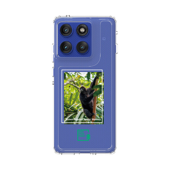 スリムプロテクションケース［ Green Future Project - Brown-headed Spider Monkey ］