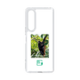 スリムプロテクションケース［ Green Future Project - Brown-headed Spider Monkey ］