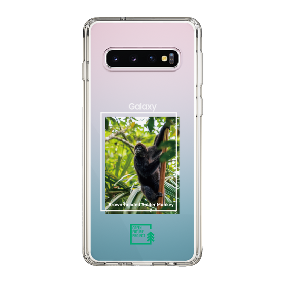 スリムプロテクションケース［ Green Future Project - Brown-headed Spider Monkey ］