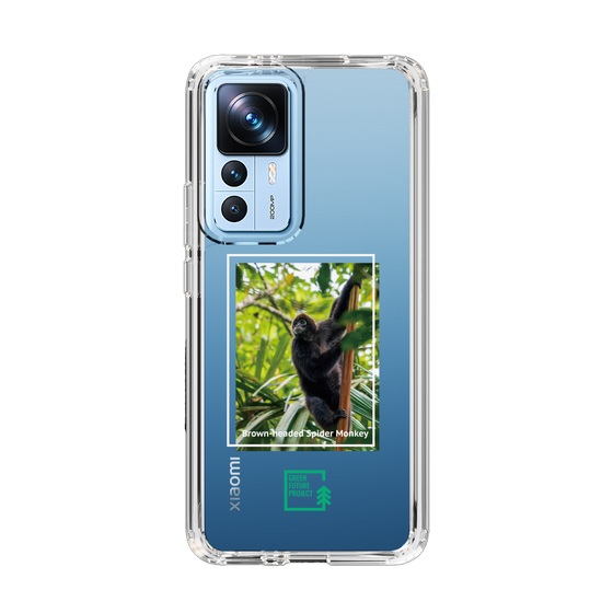 スリムプロテクションケース［ Green Future Project - Brown-headed Spider Monkey ］