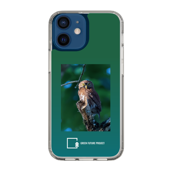 スリムプロテクションケース［ Green Future Project - Ferruginous Pygmy Owl ］