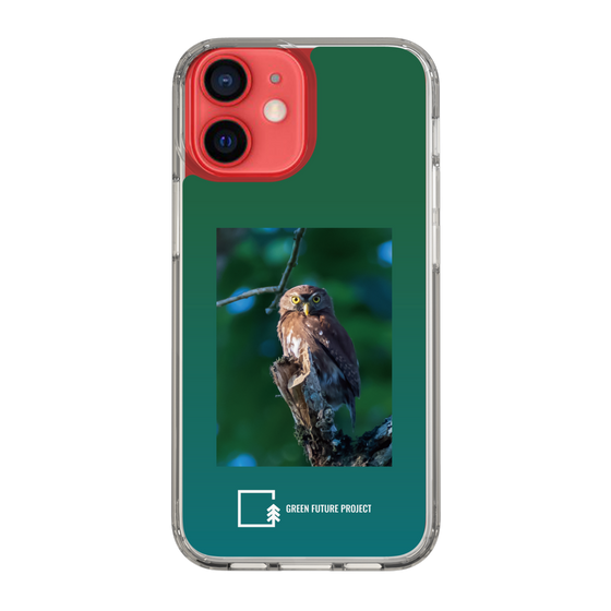 スリムプロテクションケース［ Green Future Project - Ferruginous Pygmy Owl ］
