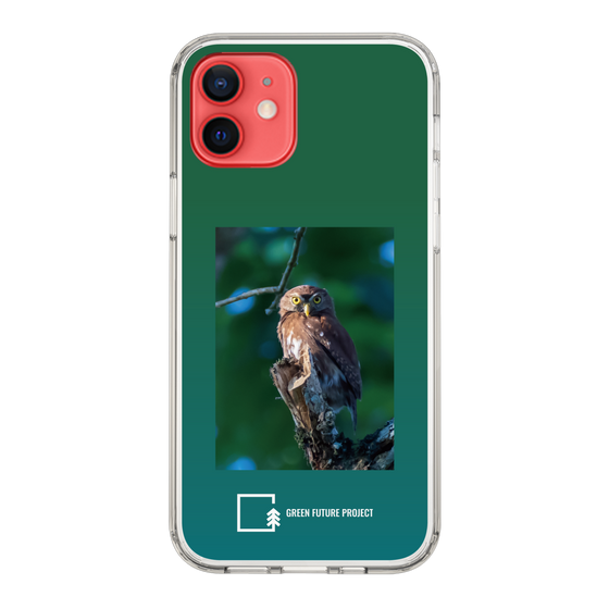 スリムプロテクションケース［ Green Future Project - Ferruginous Pygmy Owl ］