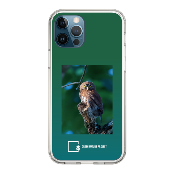 スリムプロテクションケース［ Green Future Project - Ferruginous Pygmy Owl ］
