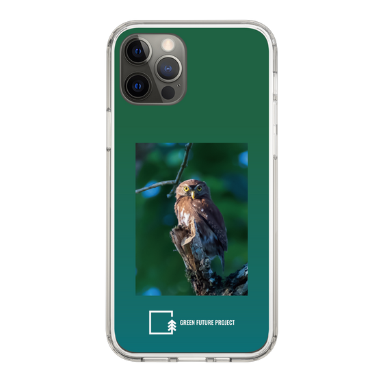 スリムプロテクションケース［ Green Future Project - Ferruginous Pygmy Owl ］