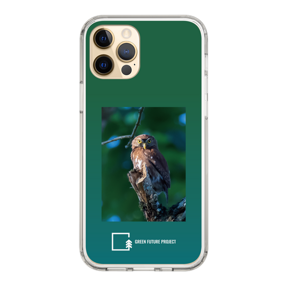 スリムプロテクションケース［ Green Future Project - Ferruginous Pygmy Owl ］