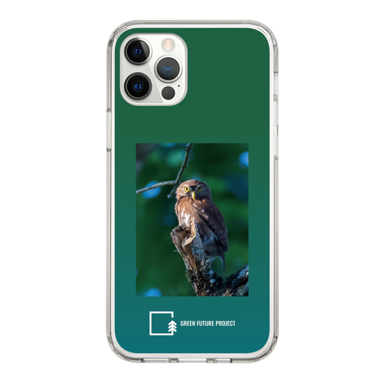 スリムプロテクションケース［ Green Future Project - Ferruginous Pygmy Owl ］