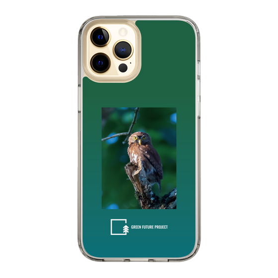 スリムプロテクションケース［ Green Future Project - Ferruginous Pygmy Owl ］