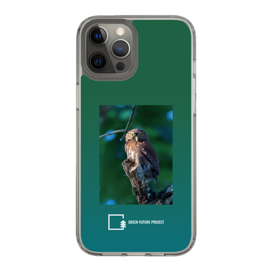 スリムプロテクションケース［ Green Future Project - Ferruginous Pygmy Owl ］